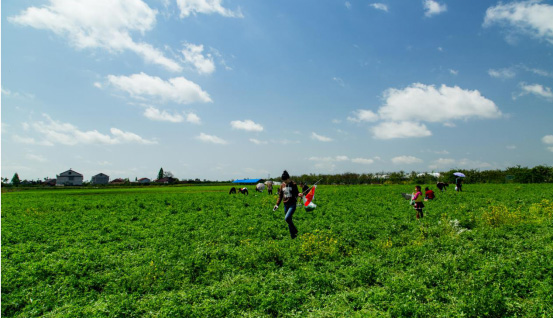 13-德人牧業(yè)小鎮(zhèn)成為湖南首家305.jpg
