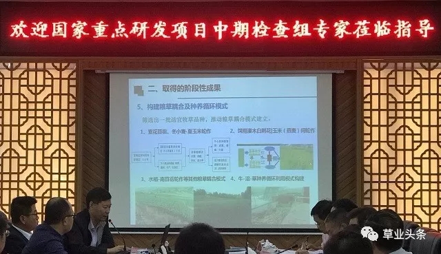 圖片5.jpg